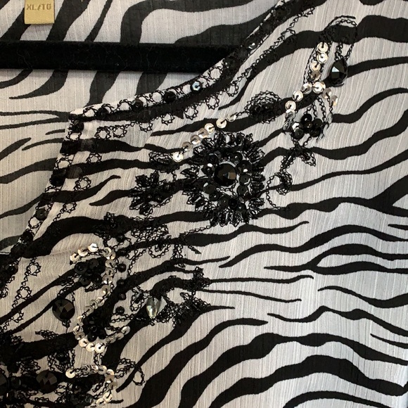 Animal Print. Zebra.  Sequins. Tunic. Fall - Picture 3 of 16